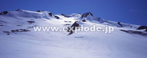 ORFAXJ Kenai Fjord Glacier