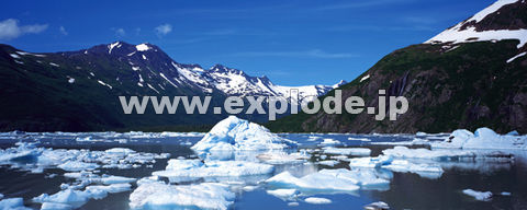 ０５：アラスカ Kenai Fjord Glacier