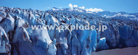 PUFAXJ Kenai Fjord Glacier