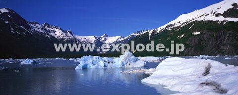 QRFAXJ Portage Glacier