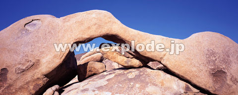 RRFJtHjA Joshua Tree National Monument