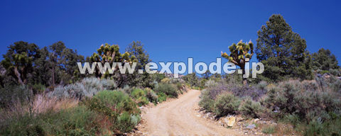RXFJtHjA Mojave Desert