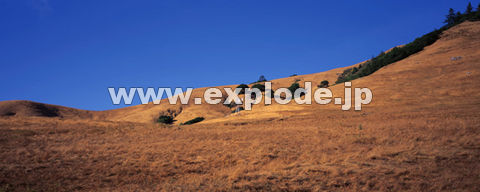 SRFJtHjA Nicasio Resevoir