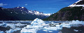 ０５：アラスカ Kenai Fjord Glacier