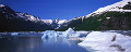 ２３：アラスカ Portage Glacier