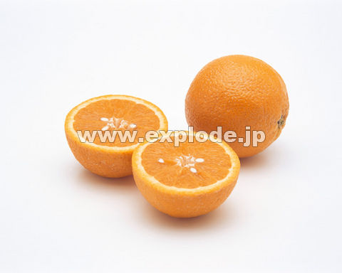 005�F�I�����W