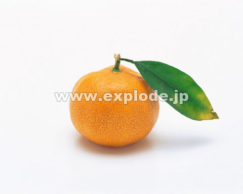 006�F�~�J��