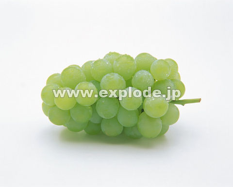017�F�u�h�E