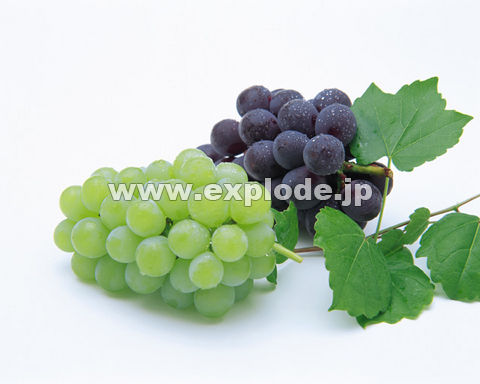 018�F�u�h�E