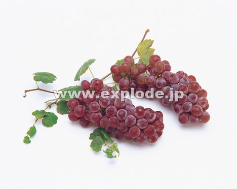 019�F�u�h�E