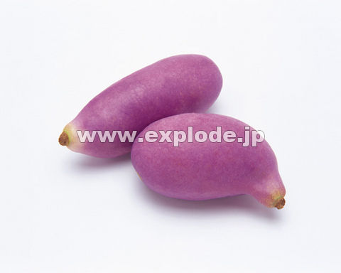 025�F�A�P�r