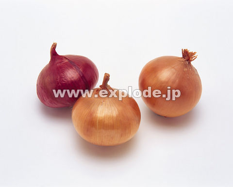046�F�^�}�l�M
