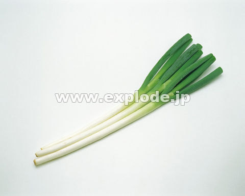 067�F�l�M