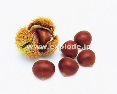 074�F�N��