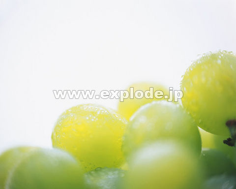 082�F�u�h�E