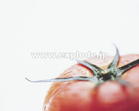 088�F�g�}�g