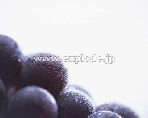 093�F�u�h�E