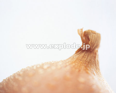 104�F�^�}�l�M