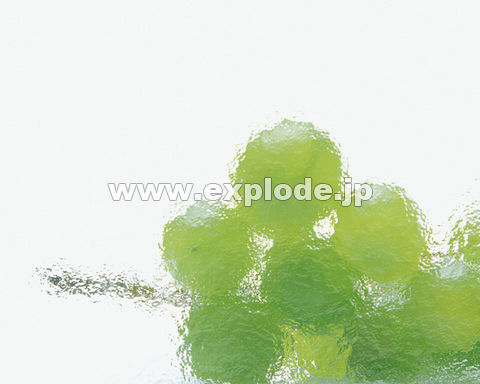 105�F�u�h�E