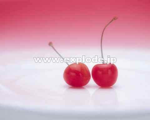 132�F�T�N�����{