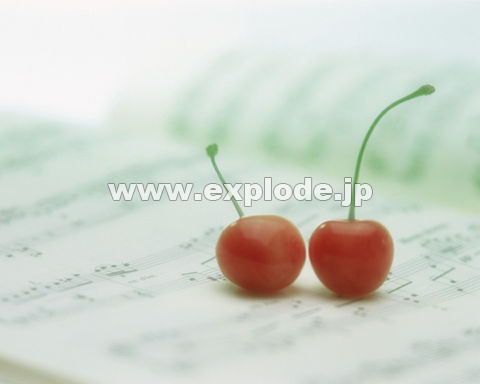 133�F�T�N�����{