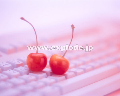 135�F�T�N�����{
