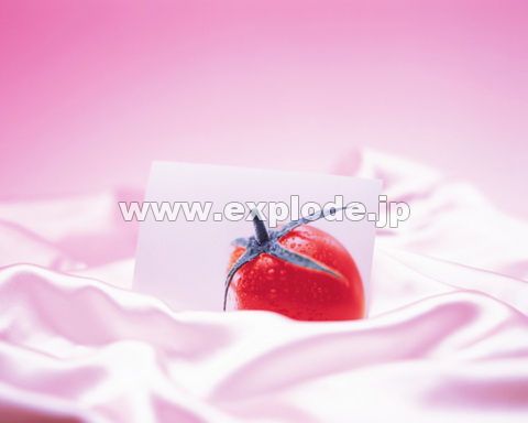 137�F�~�j�g�}�g