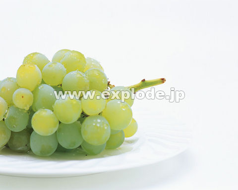 141�F�u�h�E