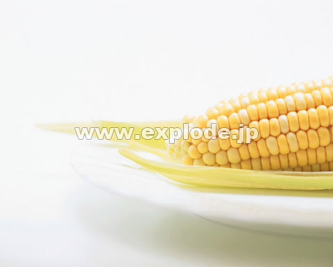 143�F�g�E�����R�V