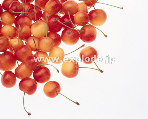 152�F�T�N�����{