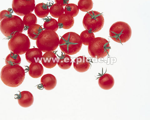 157�F�~�j�g�}�g