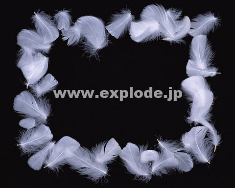 �O�V�W�F���R�z  ���̉H��