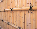 ４２：竹塀（祇園界隈）