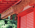 ５６：日本の色（東寺）