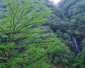 ０３５：春　長野県鬼無里村　滝と新緑