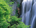 ０４６：夏　秋田県阿仁町・安の滝