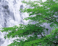 ０４９：夏　栃木県・奥日光・湯滝