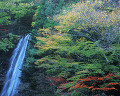 ０８２：秋　山梨県・大柳川渓谷