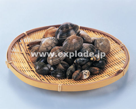 051�F�A�T��
