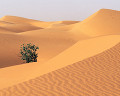 ００１：モーリタニア サハラ砂漠 ヌアクショット