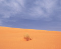 ００２：モーリタニア サハラ砂漠 ヌアクショット