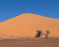 ００３：モーリタニア サハラ砂漠 シンゲッティ