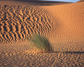 ０４０：モーリタニア サハラ砂漠 ヌアクショット