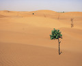 ０６５：モーリタニア サハラ砂漠 ヌアクショット