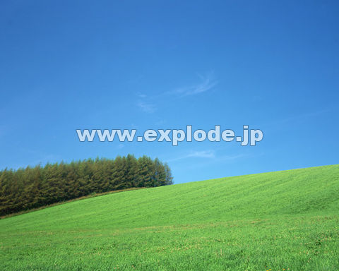 �O�R�R�F�k�C�����l