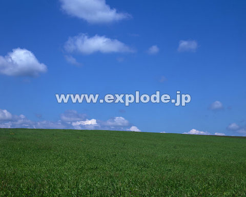 �O�R�X�F�k�C���x�ǖ�