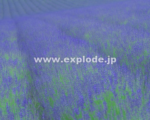 �O�X�W�F�k�C���x�ǖ�