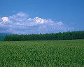０３２：北海道富良野