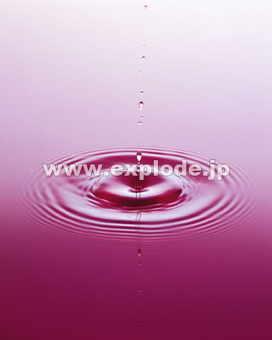 �g��