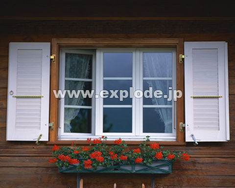 �O�P�O�F�� �X�C�X